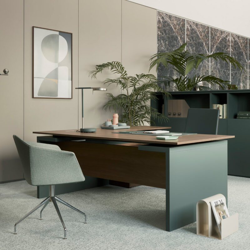 mobilier de bureau bicolor vert, bois